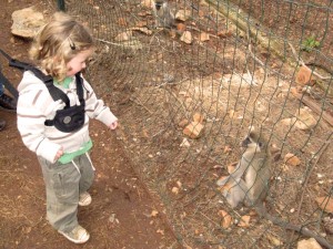 Jojo meeting the Monkeys
