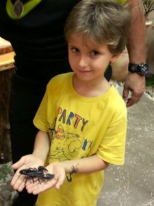 Jojo and the Scorpion