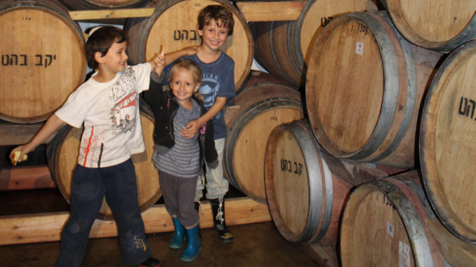 Boys at the Bahat Winery